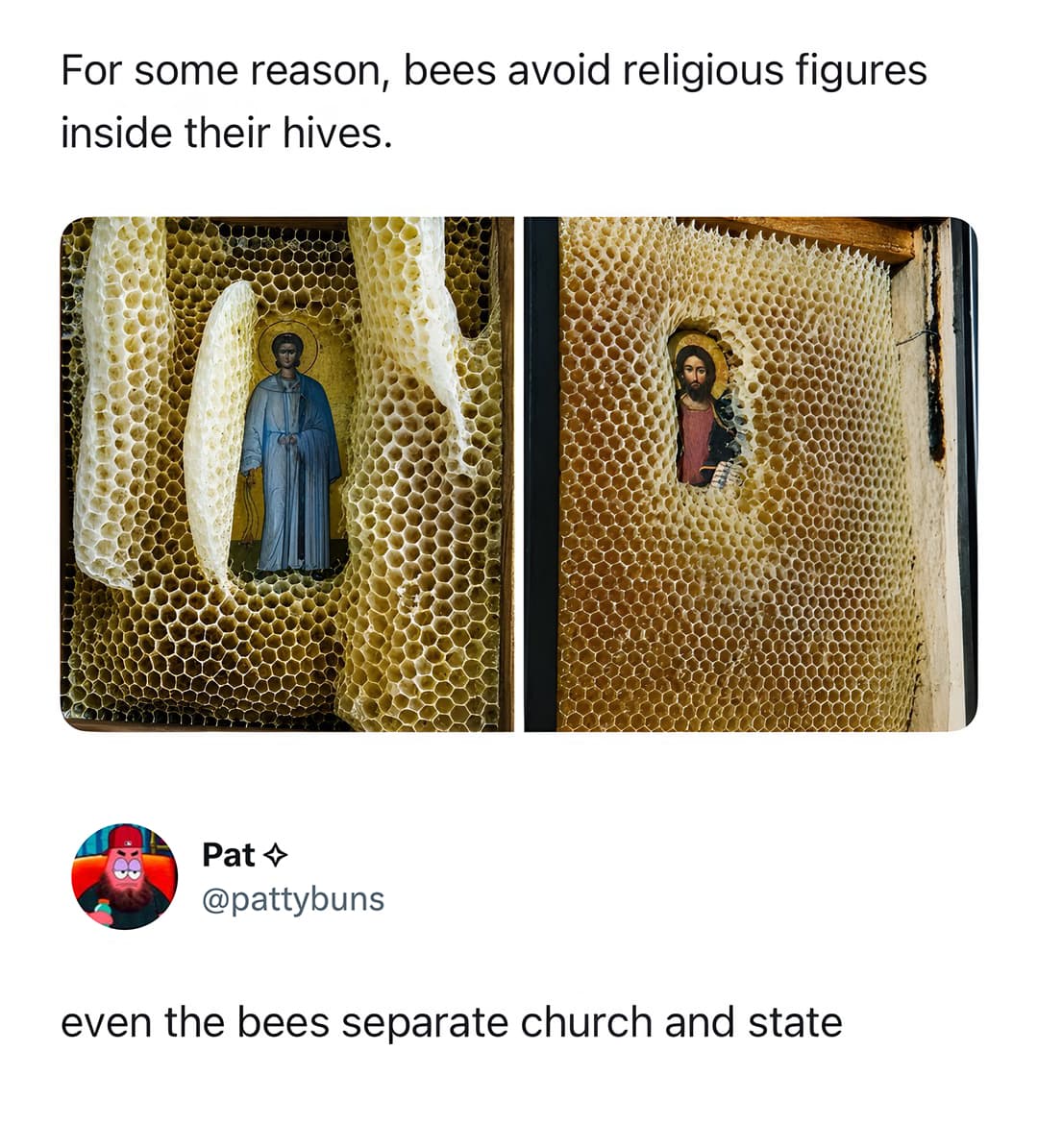 for some reason, bees avoid religious figures inside their hives.