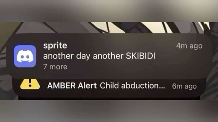 another day another skibidi