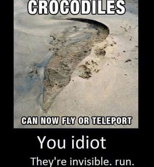 crocodiles can now fly or teleport