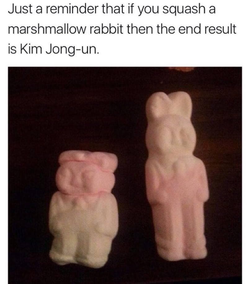just a reminder that if you squash a marshmallow rabbit then the end result is kim jong-un.