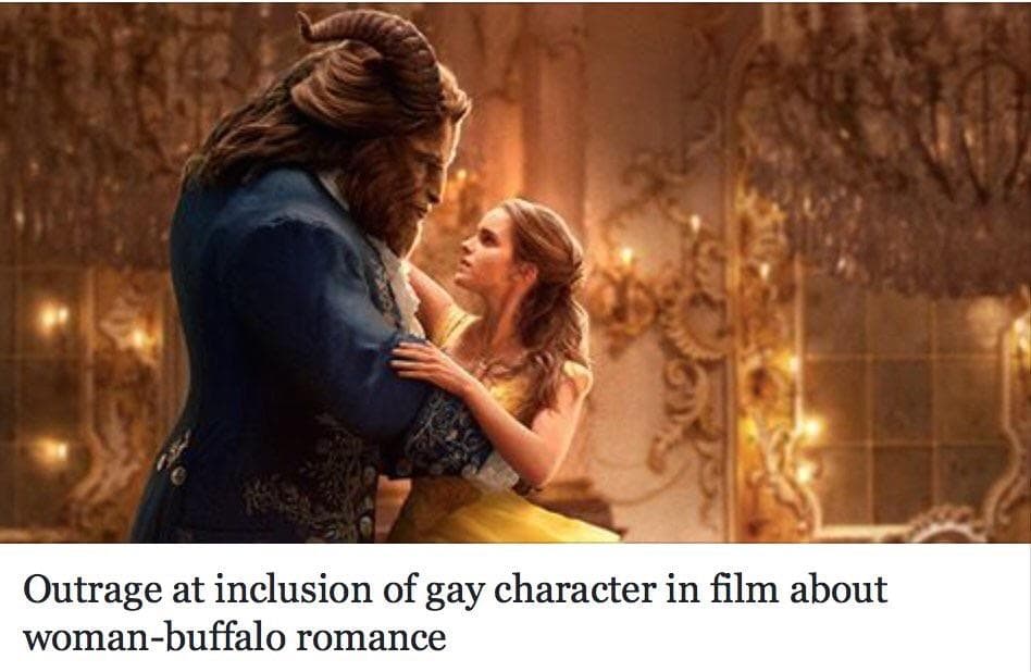 outrage at inclusion of gay character in film about woman-buffalo romance