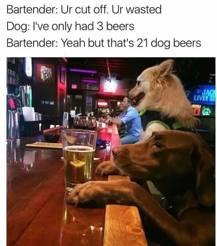 bartender: ur cut off. ur wasted