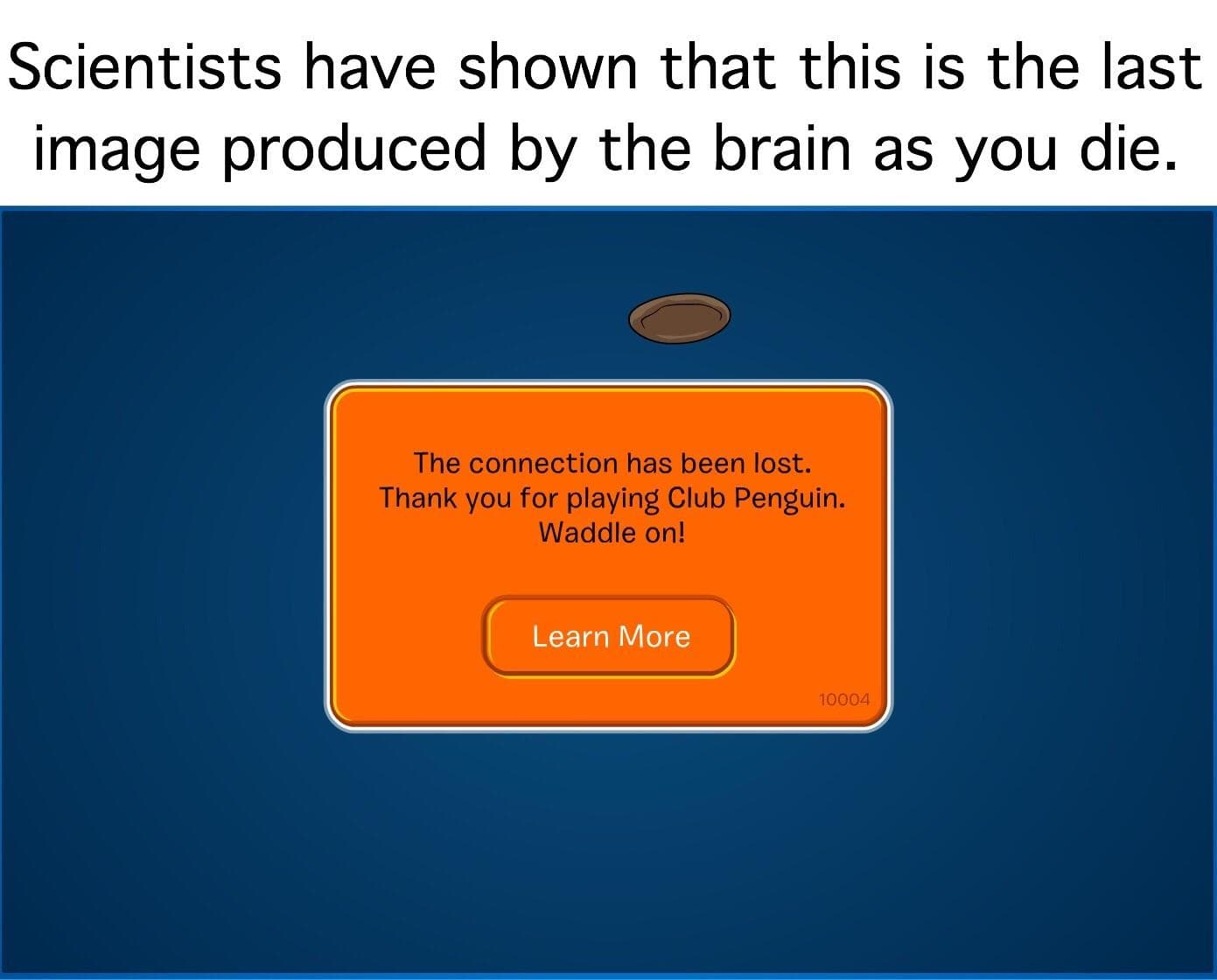 scientists have shown that this is the last image produced by the brain as you die.