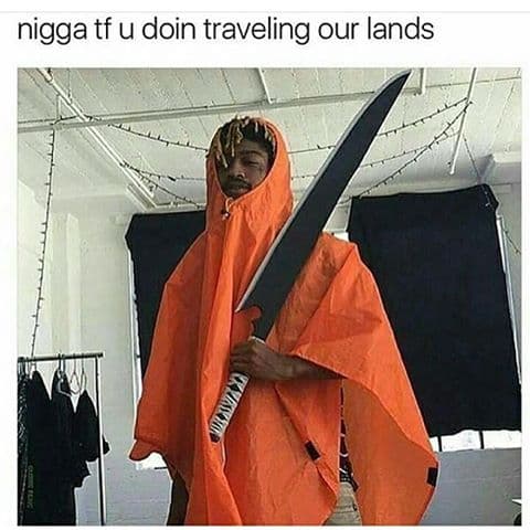 nigga tf u doin traveling our lands