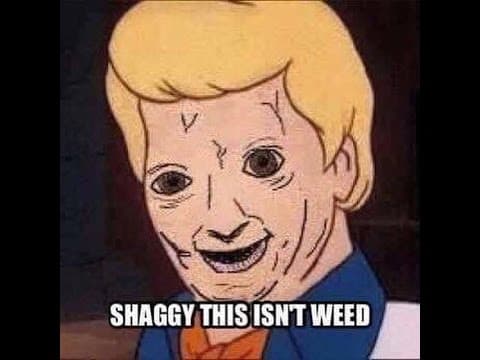 shaggy this isn't weed