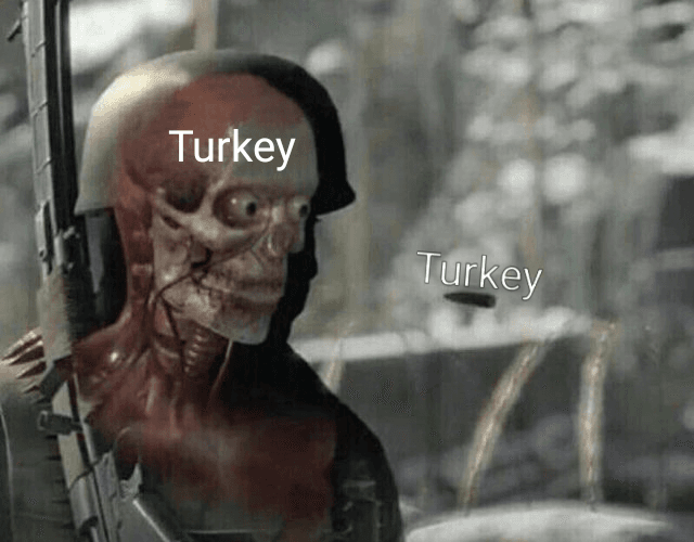 turkey
