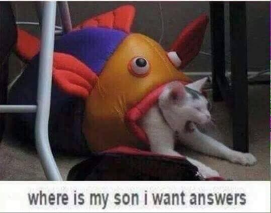 where is my son i want answers