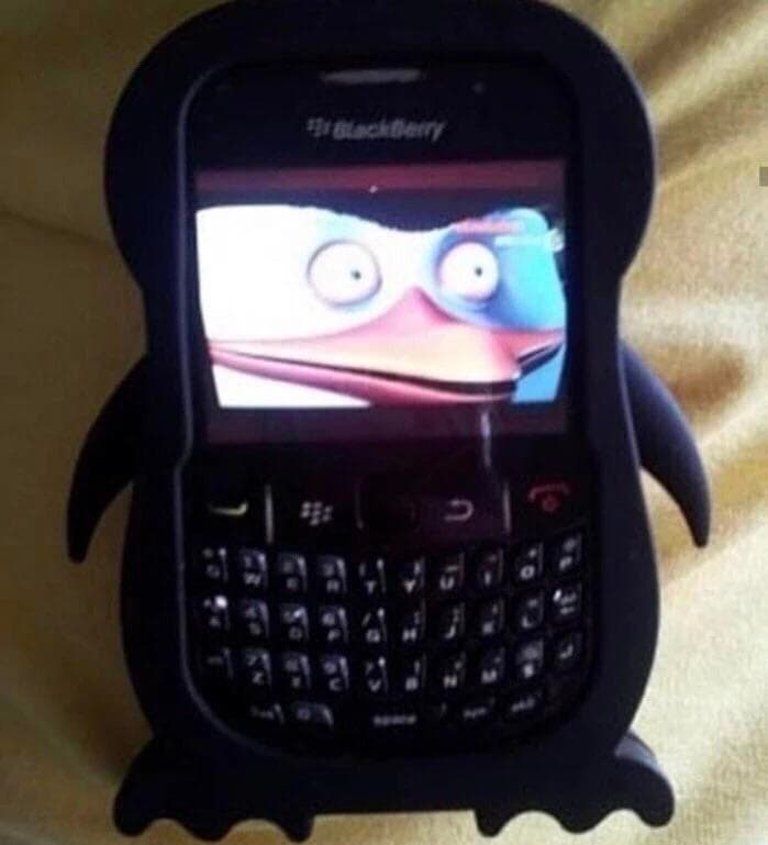 blackberry