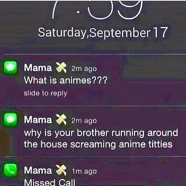 what is animes???
