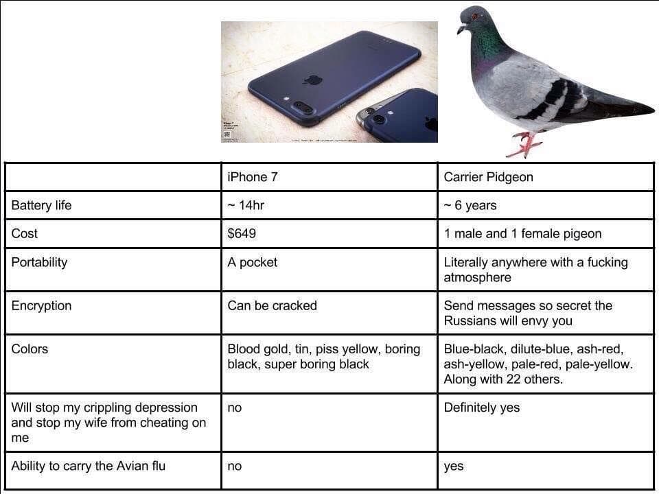 iphone 7 vs carrier pidgeon
