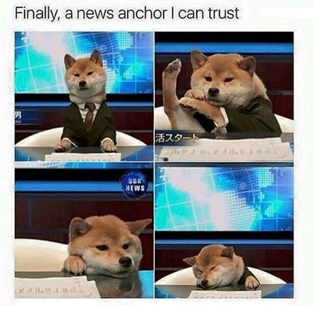finally, a news anchor i can trust