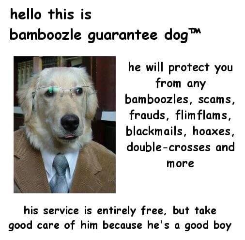 hello this is bamboozle guarantee dog™