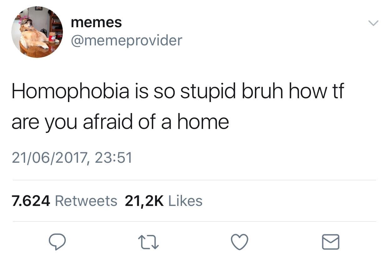 homophobia is so stupid bruh how tf are you afraid of a home