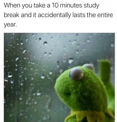 when you take a 10 minutes study break and it accidentally lasts the entire year.