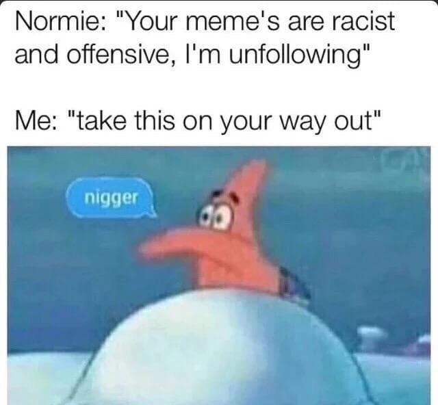 normie: "your meme's are racist and offensive, i'm unfollowing"