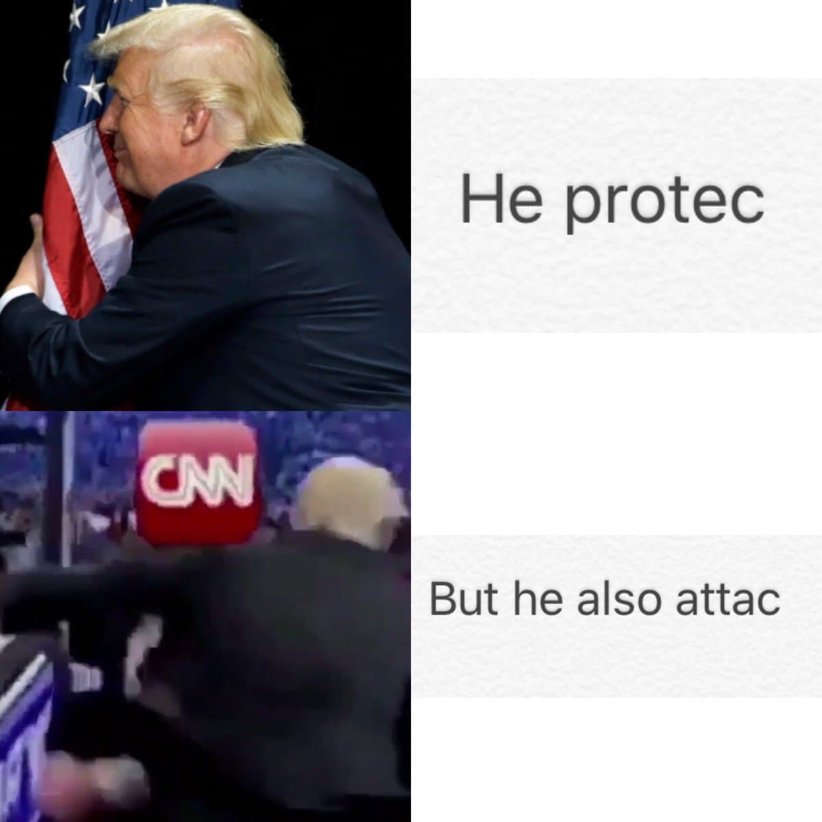 he protec