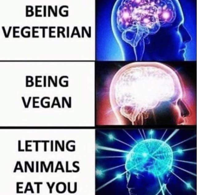 being vegeterian