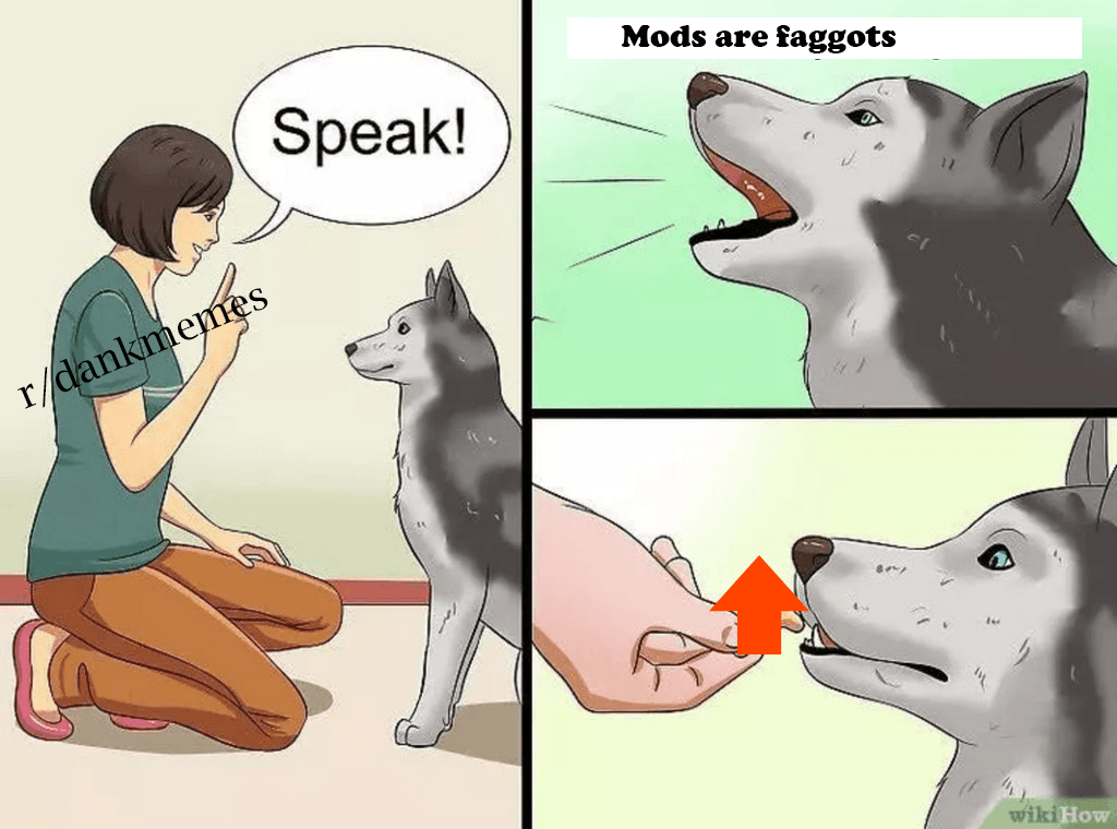 speak!