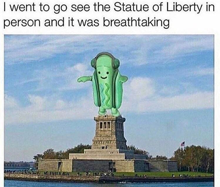 i went to go see the statue of liberty in person and it was breathtaking