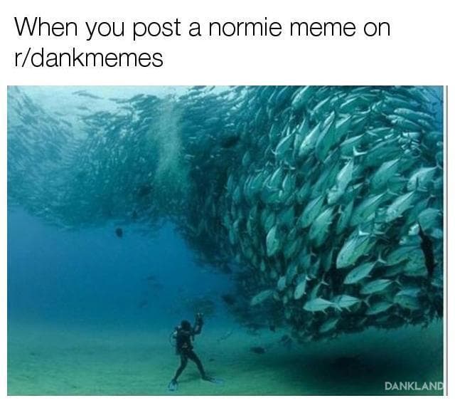 when you post a normie meme on r/dankmemes