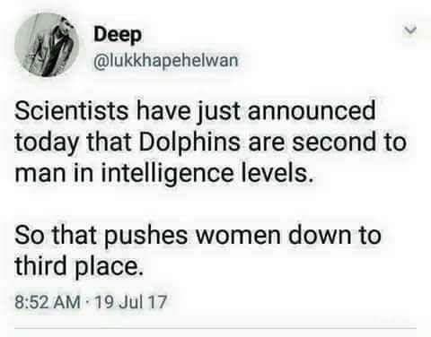 scientists have just announced today that dolphins are second to man in intelligence levels.