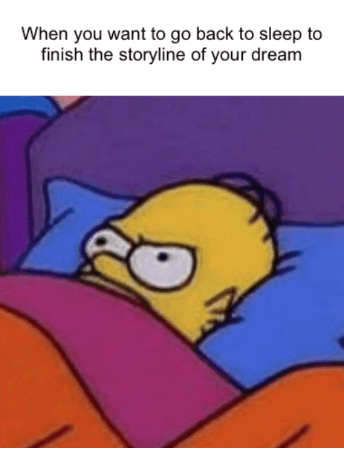 when you want to go back to sleep to finish the storyline of your dream
