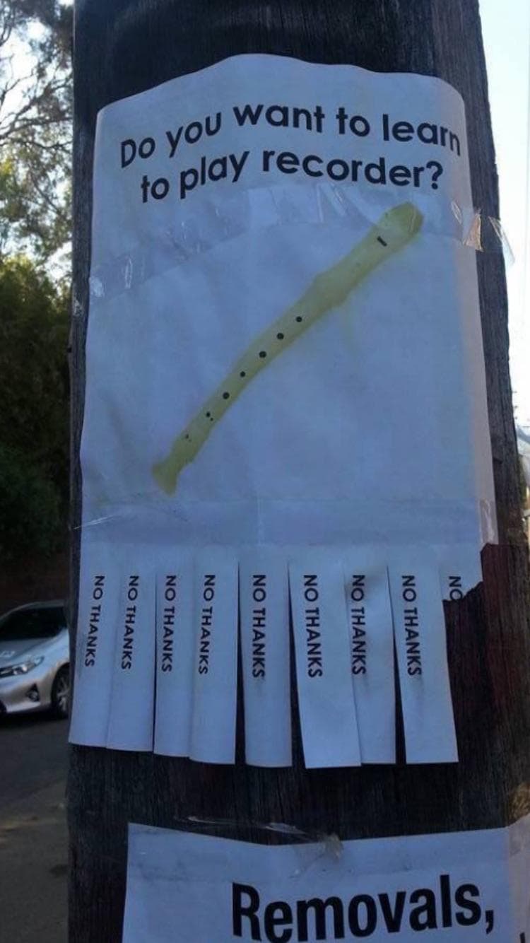 do you want to learn to play recorder?
