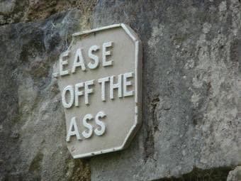 ease off the ass