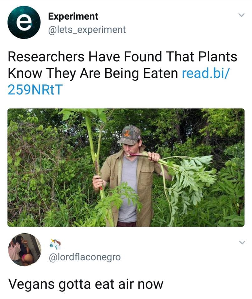 researchers have found that plants know they are being eaten