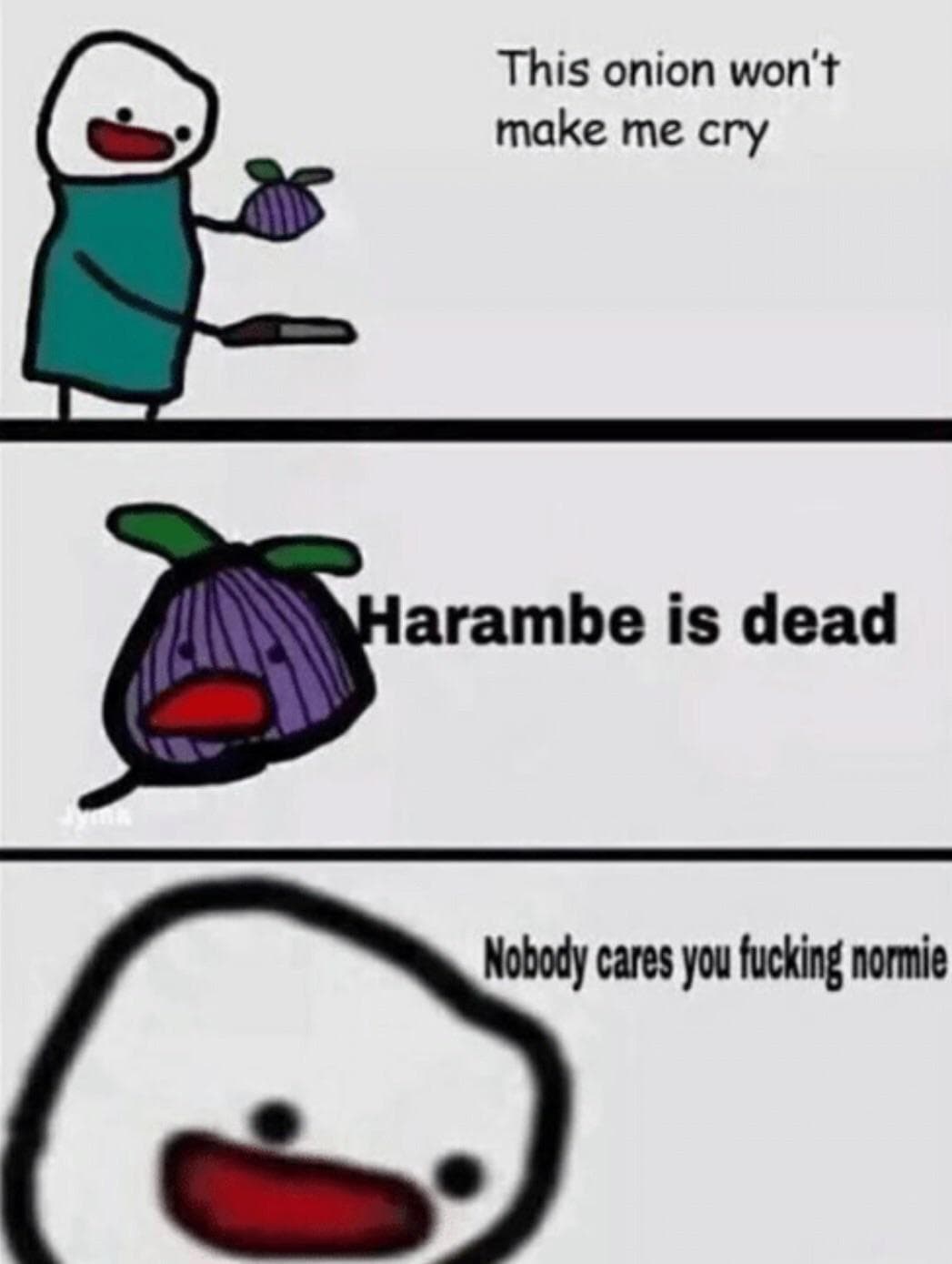 this onion won't make me cry