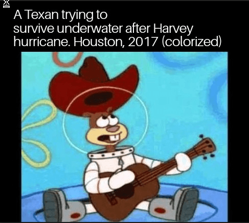 a texan trying to survive underwater after harvey hurricane.