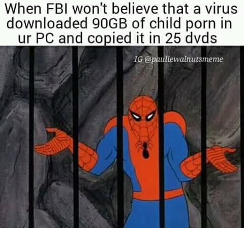 when fbi won't believe that a virus downloaded 90gb of child porn in ur pc and copied it in 25 dvds