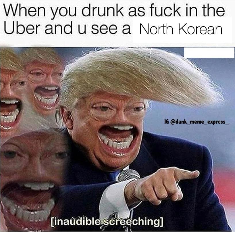 when you drunk as fuck in the uber and u see a north korean