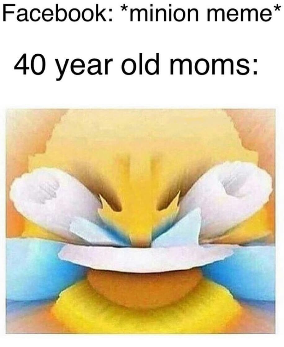 facebook: *minion meme*