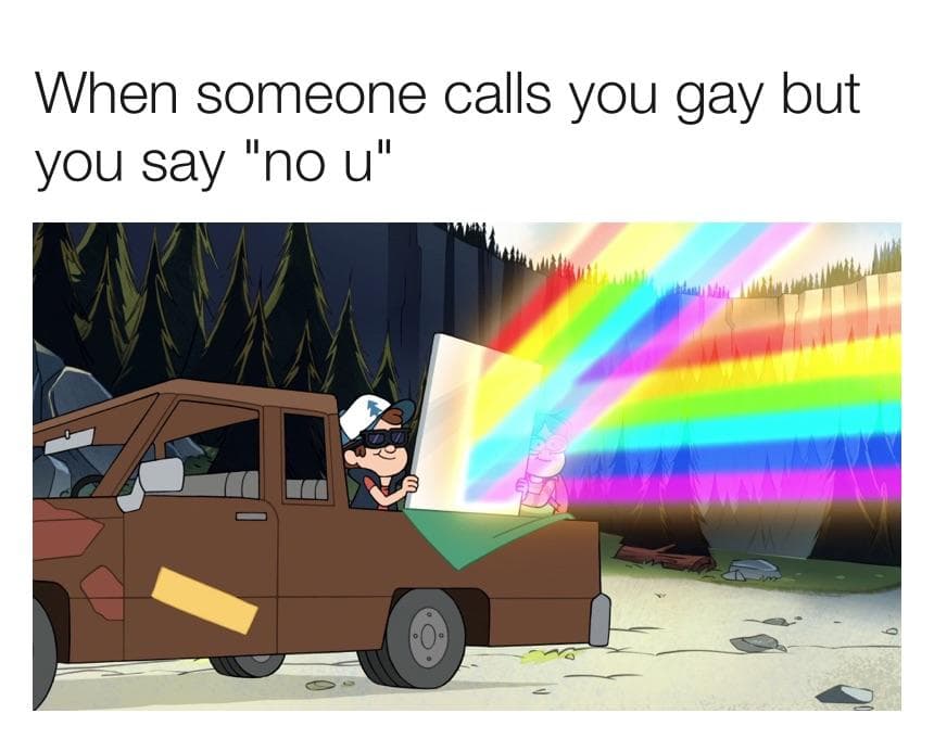 when someone calls you gay but you say "no u"