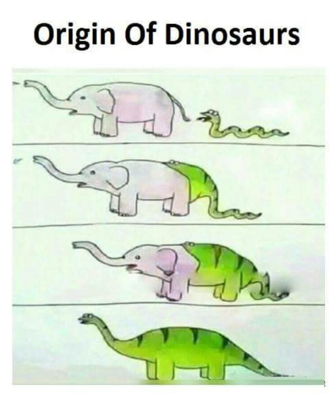 origin of dinosaurs