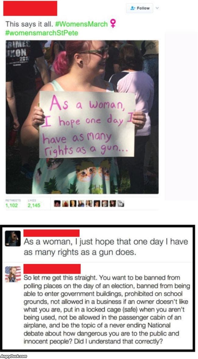 as a woman, i hope one day i have as many rights as a gun.