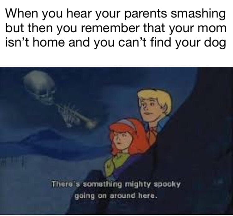 when you hear your parents smashing but then you remember that your mom isn't home and you can't find your dog