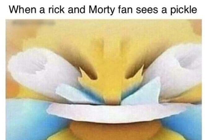 when a rick and morty fan sees a pickle