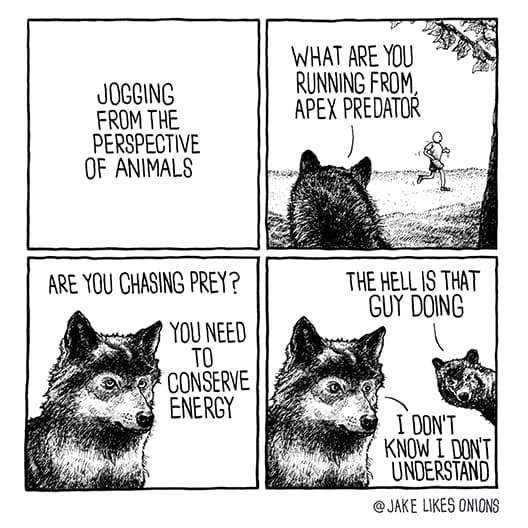 jogging from the perspective of animals