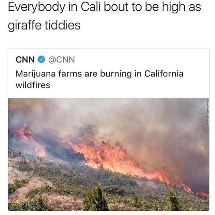everybody in cali bout to be high as giraffe tiddies