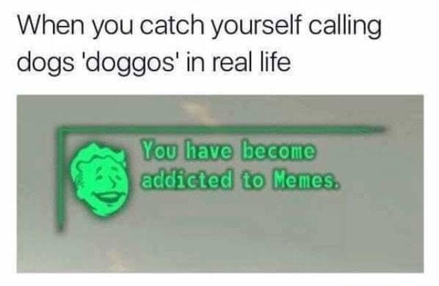 when you catch yourself calling dogs 'doggos' in real life