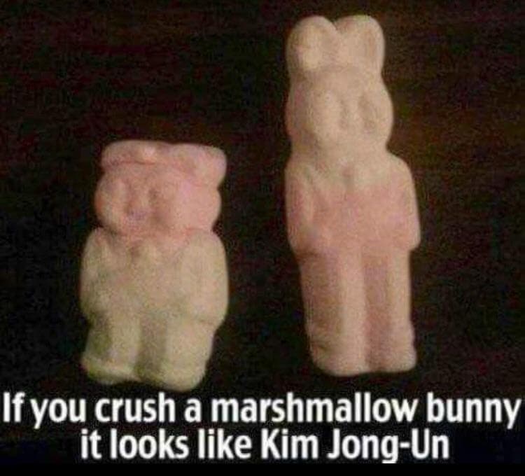 if you crush a marshmallow bunny it looks like kim jong-un
