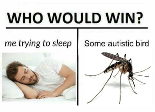 who would win?