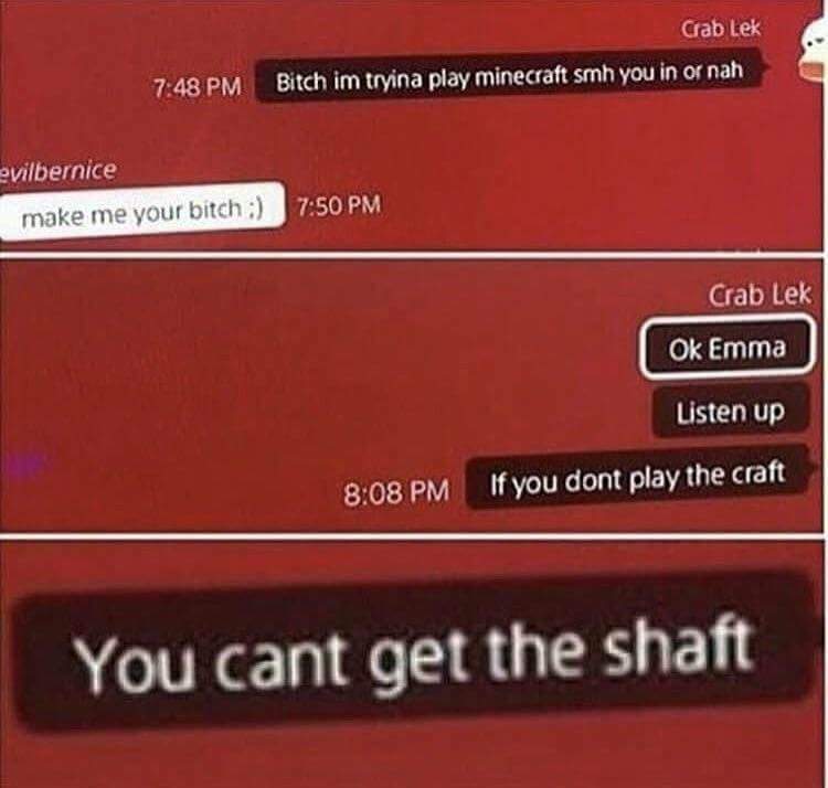 bitch im tryina play minecraft smh you in or nah