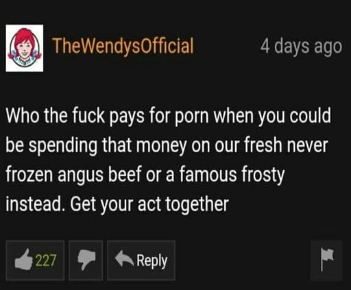 who the fuck pays for porn when you could be spending that money on our fresh never frozen angus beef or a famous frosty instead.