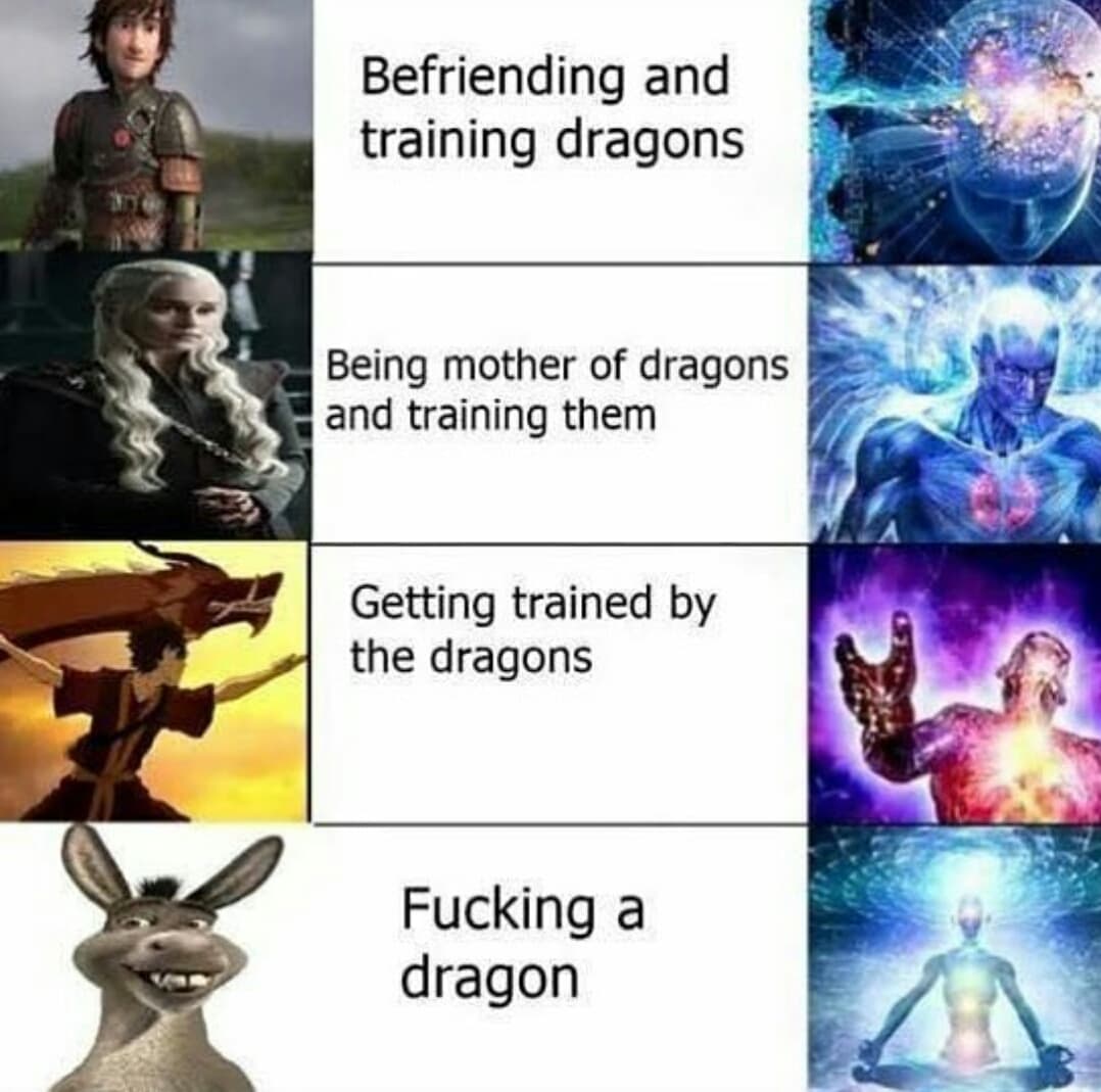 befriending and training dragons
