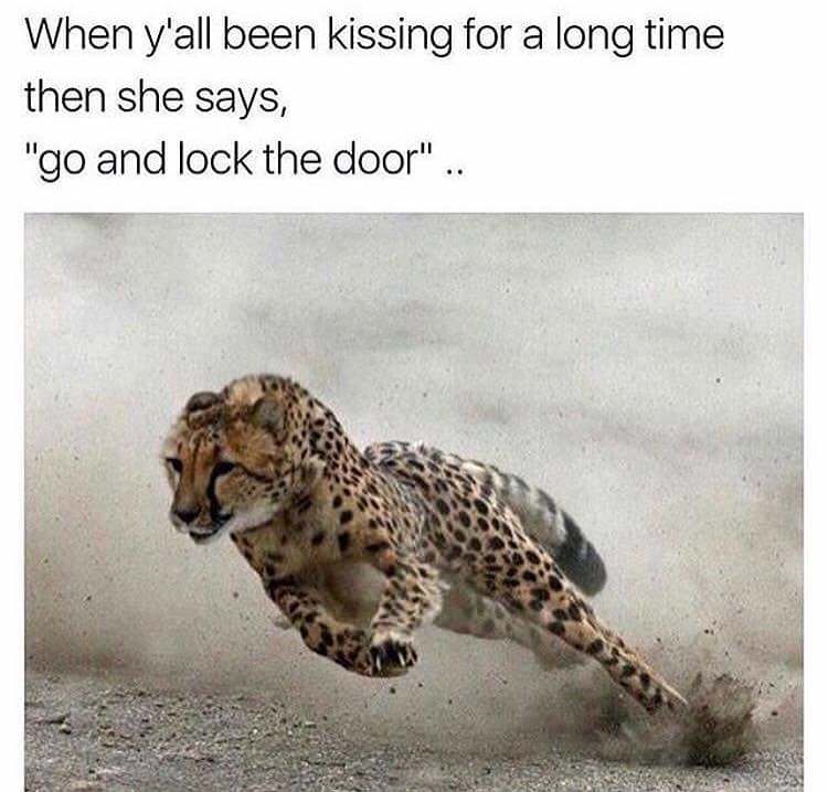 when y'all been kissing for a long time then she says, "go and lock the door" ..
