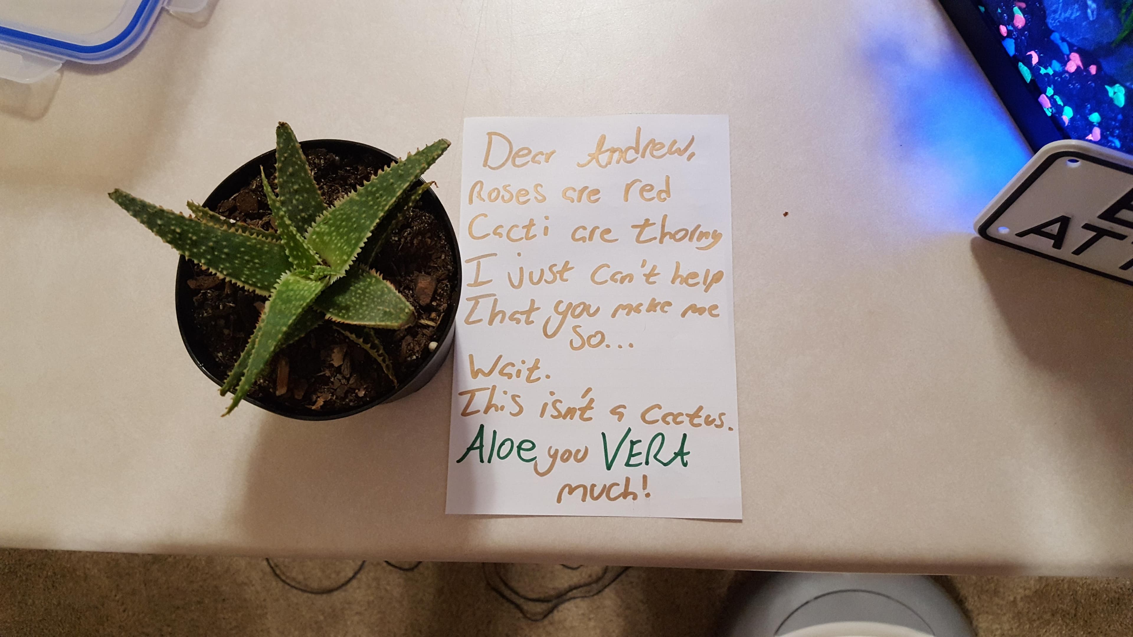 dear andrew, roses are red, cacti are thorny.