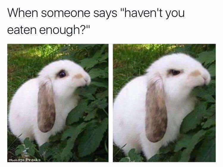 when someone says "haven't you eaten enough?"